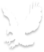 鷲のロゴ